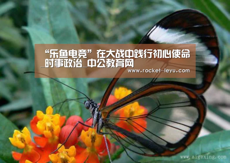 “乐鱼电竞”在大战中践行初心使命_时事政治_中公教育网(图2) “乐鱼电竞”在大战中践行初心使命_时事政治_中公教育网(图2)