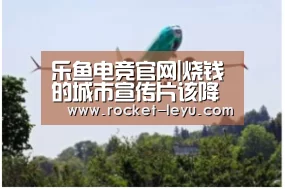 乐鱼电竞
