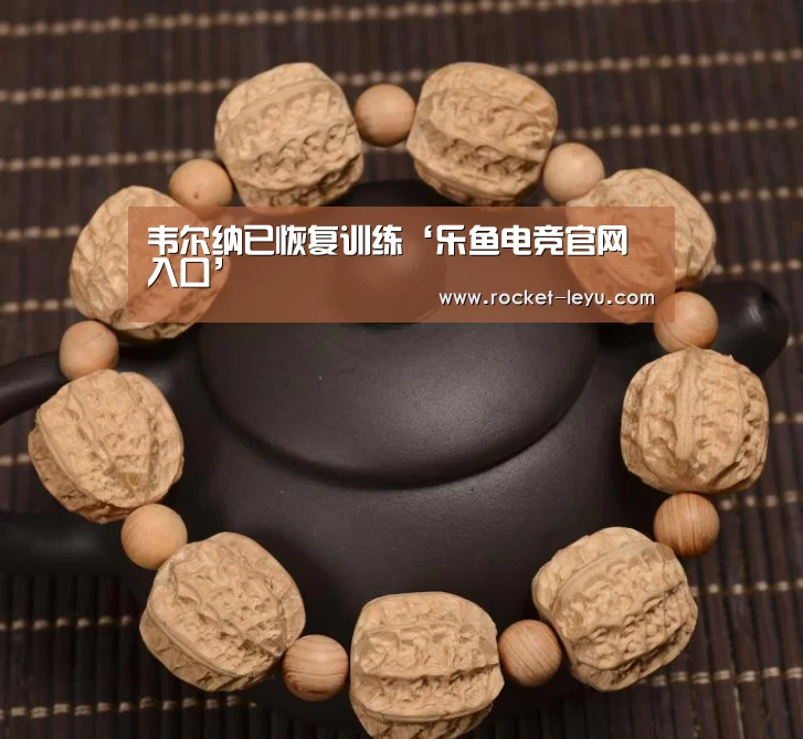 韦尔纳已恢复训练‘乐鱼电竞官网入口’(图2) 乐鱼电竞官网