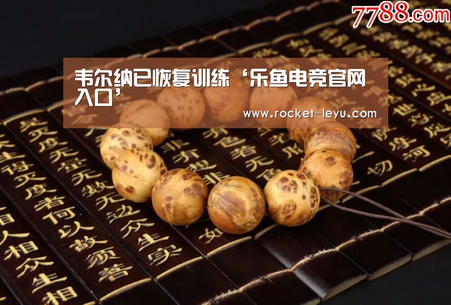 韦尔纳已恢复训练‘乐鱼电竞官网入口’(图4) 乐鱼电竞官网入口