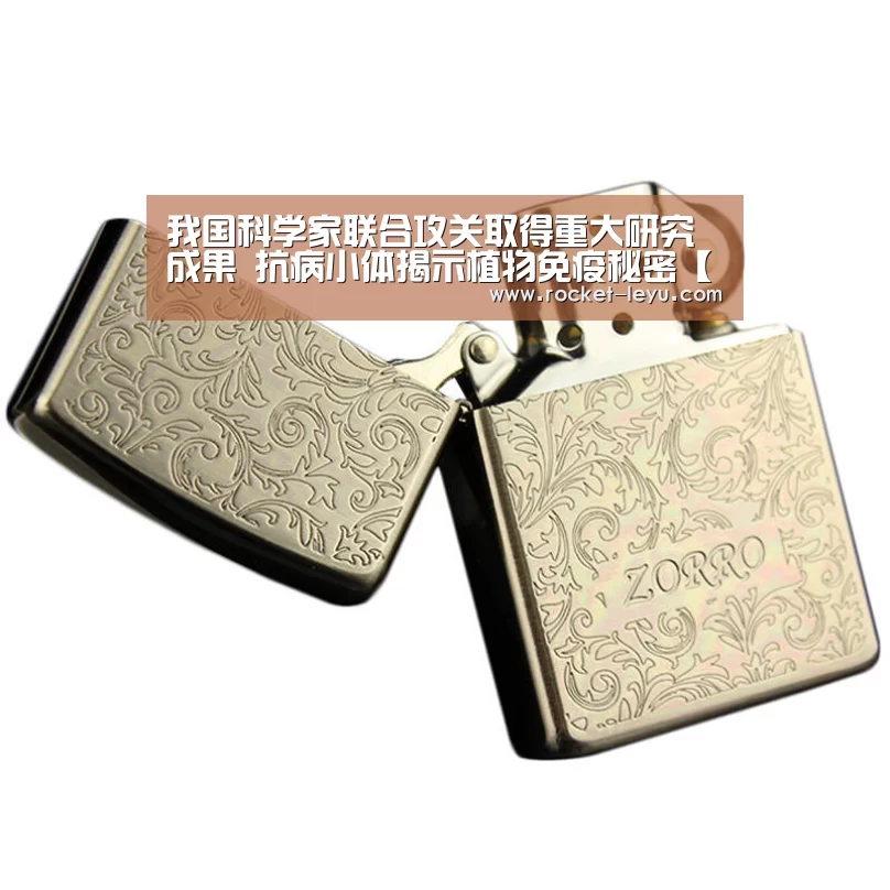 乐鱼电竞官网入口