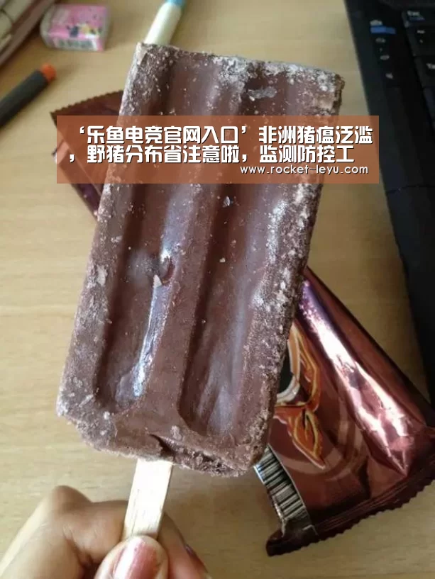 乐鱼电竞官网入口
