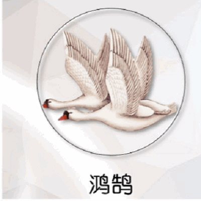 乐鱼电竞官网入口